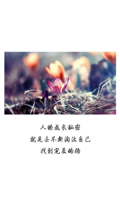 小清新的话