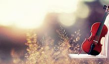 做个开心的女人句子大全集