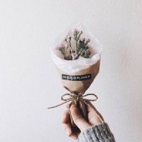 12.在炎热的季节里，我想当铁匠，在铁烫的时候，我与你的友谊会打发。我想成为一个强盗，我想利用火来给你幸福；我想成为一位公主，并给您与香蕉迷共舞的酷感。