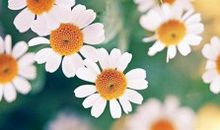 表达不开心的句子有