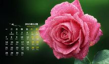 朋友圈晚安的开心句子