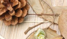 伤情的开心的句子