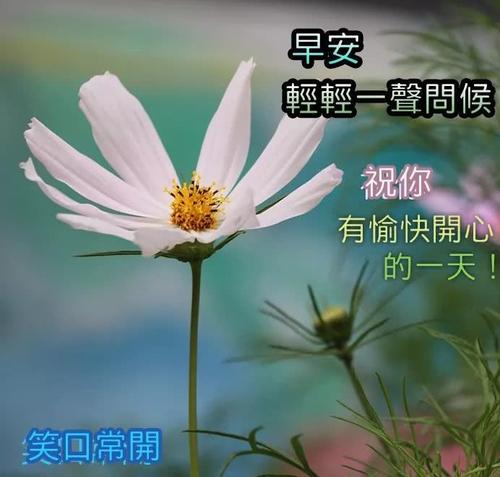 周一祝福语