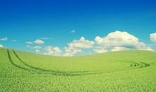 一起和孩子过开心的句子 家人在一起开心的句子