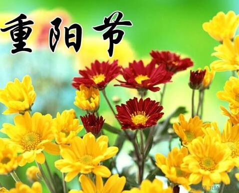 重阳节客户短信