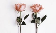 早安心语正能量