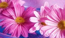 早安正能量经典问候语