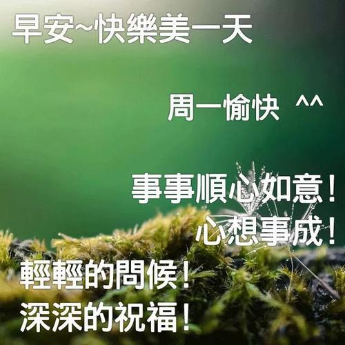 早上给客户的问候
