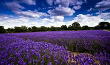 怎么开心怎么过的句子 活着开心最重要的句子