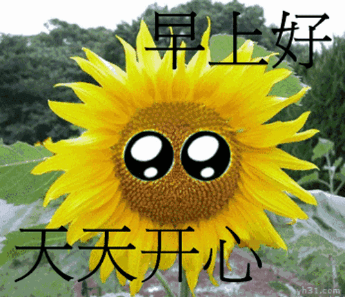 恋人早上的问候
