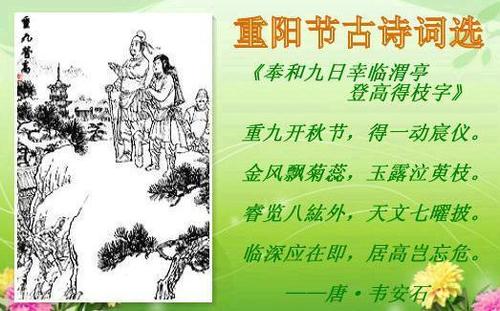 重阳经典祝福短信