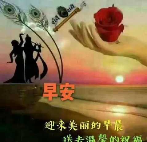 早上给爱人的讯息