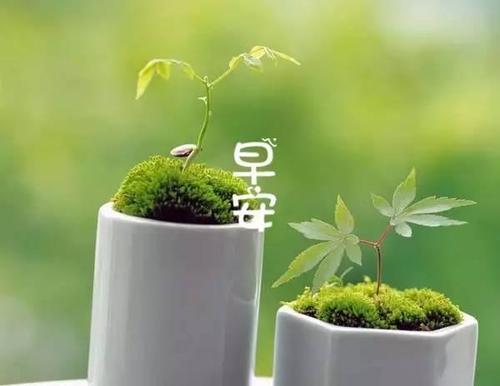早上好问候