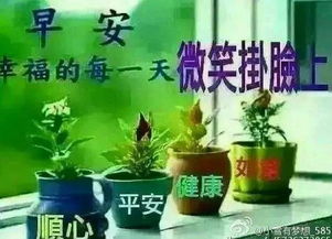 早安祝短信