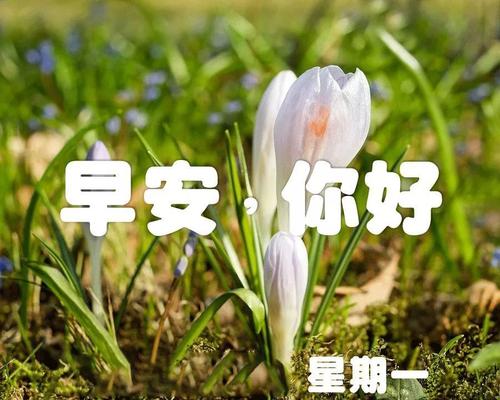 早上问候语