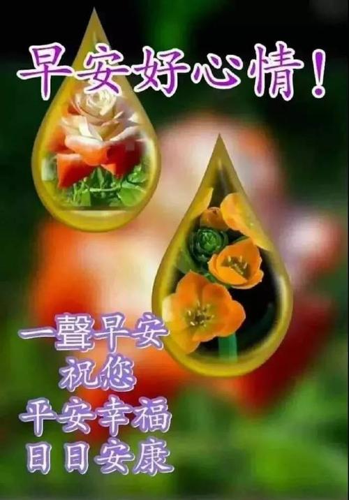 早上问候