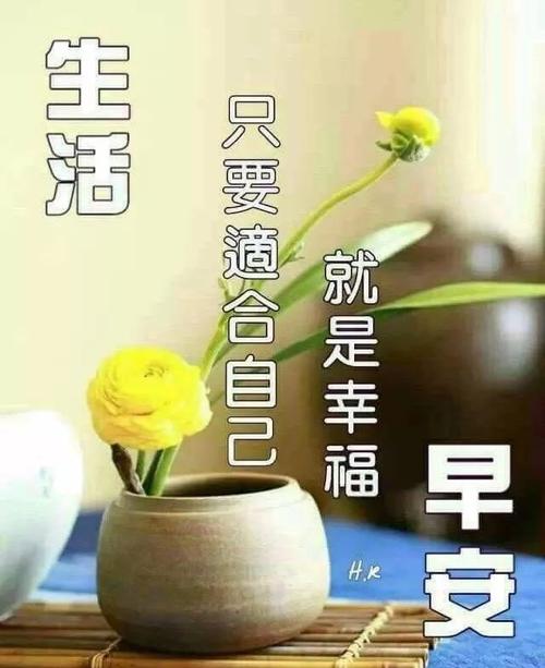早上的问候