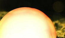 追女孩幽默短信