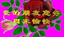 周末客户祝福短信2016