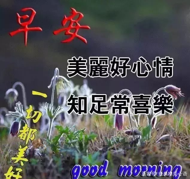 周末问候客户短信