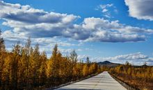 瞬间开心的皮句子 让人瞬间开心的皮句子