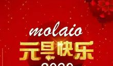 元旦给领导祝福短信