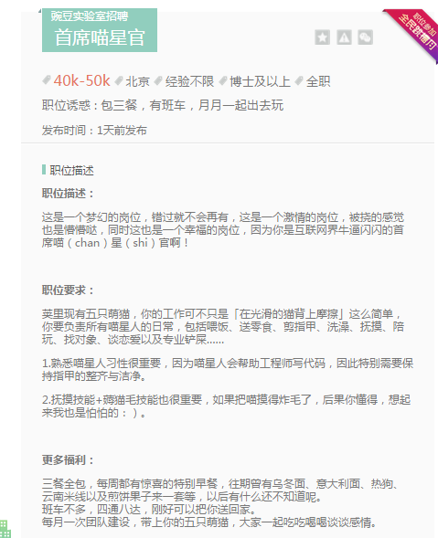 愚人节致领导的信息