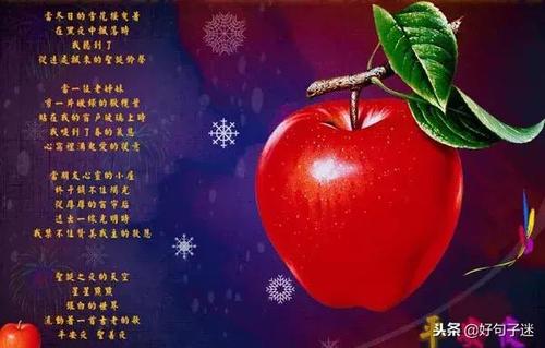 圣诞平安夜爱祝福短信