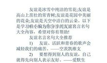 描写友情的名言警句