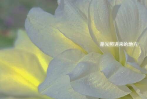 39.唯有智慧和坚定而积极的态度才能使婚姻美丽。在这个世界上，夫妻之间没有完美的婚姻。只是他们不会轻易放开别人的手，而是将放弃的想法变成面对和解决问题的决心，并将婚姻视为终生经营的事情。