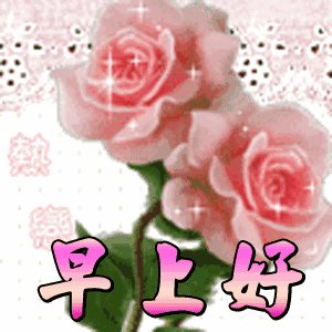 友善的祝福讯息