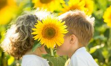 冬季周末祝福短信客户