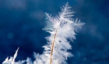 冬天经典祝福短信