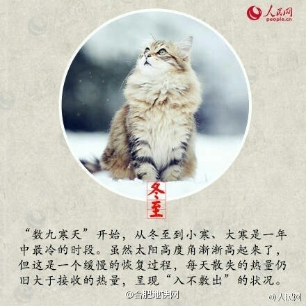 冬至有趣的消息