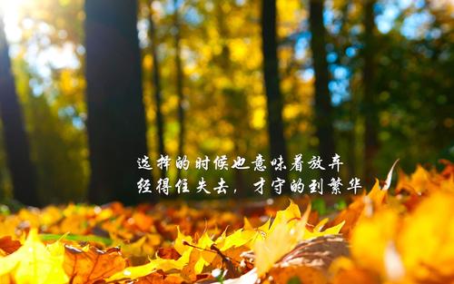 最经典的个性签名