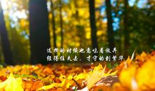 最经典的个性签名