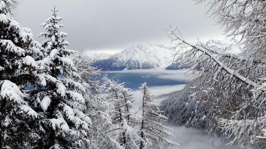 冰雪节的问候
