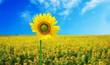 积极向上的名人名言