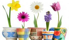 英语教师节快乐