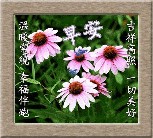 祝福朋友