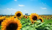 成长的说说经典说说