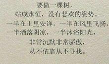 珍惜感情的名言