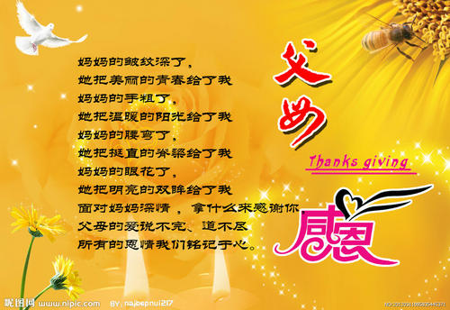 感恩节英语行情