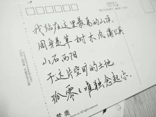 爱的告白