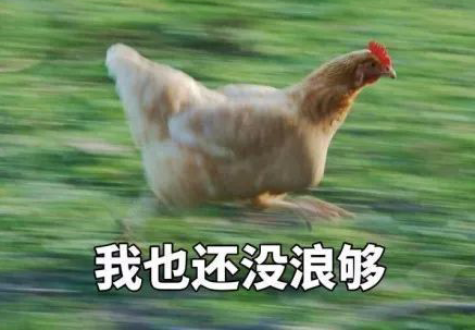 21.我可以开始上学，沉迷于学习，无法自拔。