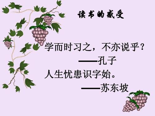 引述阅读的快乐