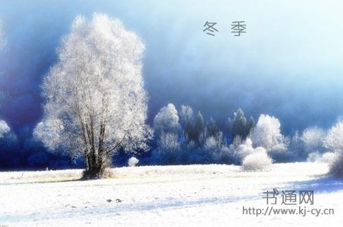 谈论冬天的美丽