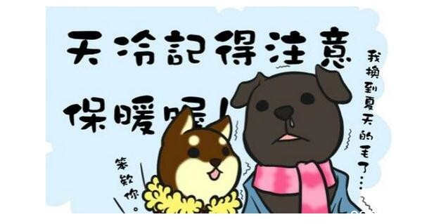搞笑搞笑短信
