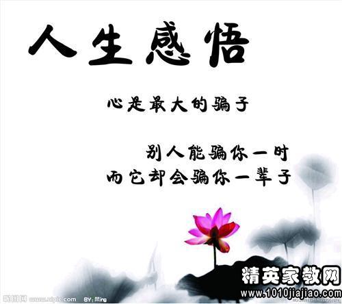 关于阅读的名言