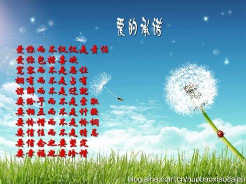 爱的祝福2016